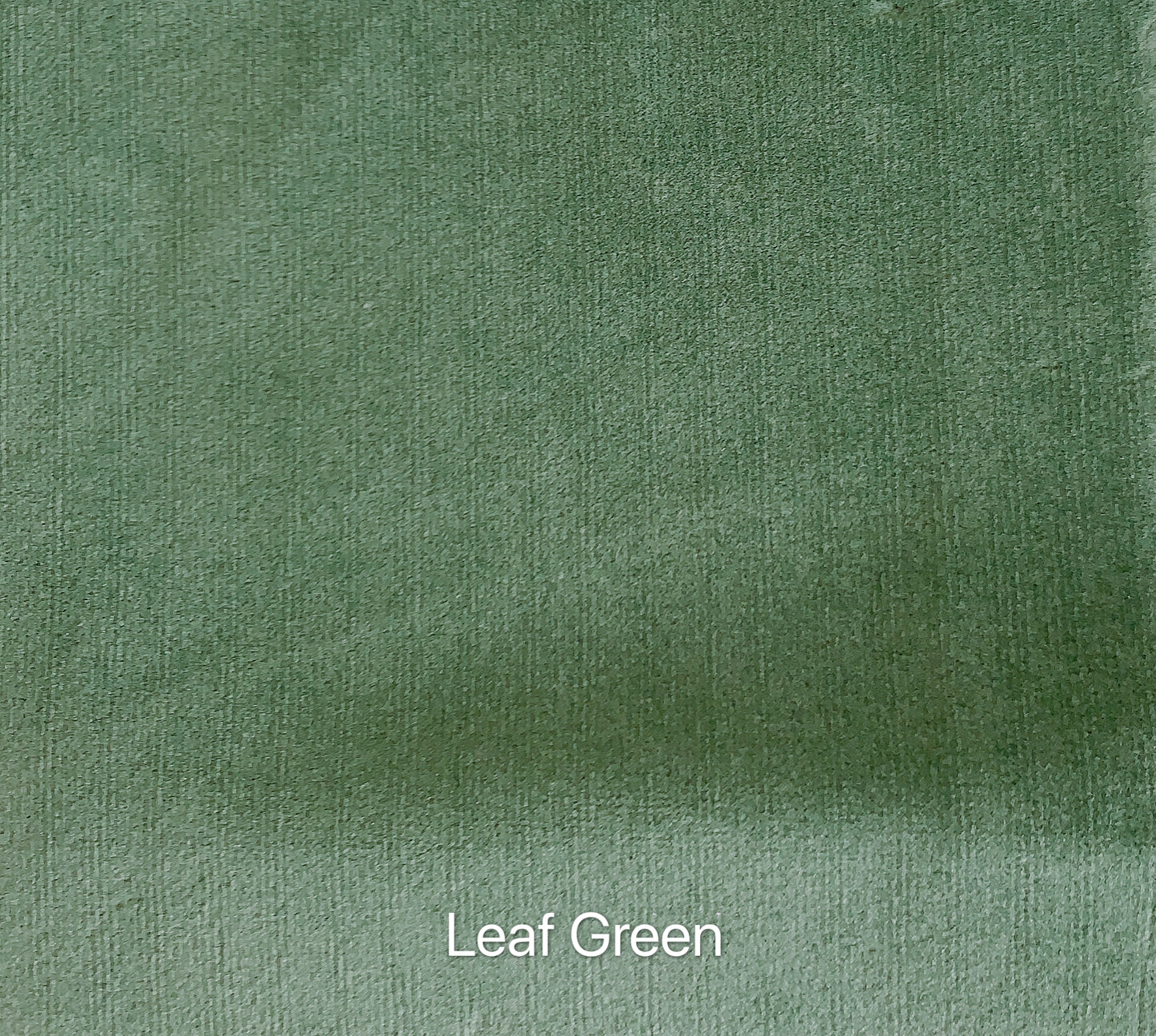 Matte Velvet Curtain | Leaf GREEN Curtain | Matte velvet curtain panels | Curtain Panels | Custom Curtains