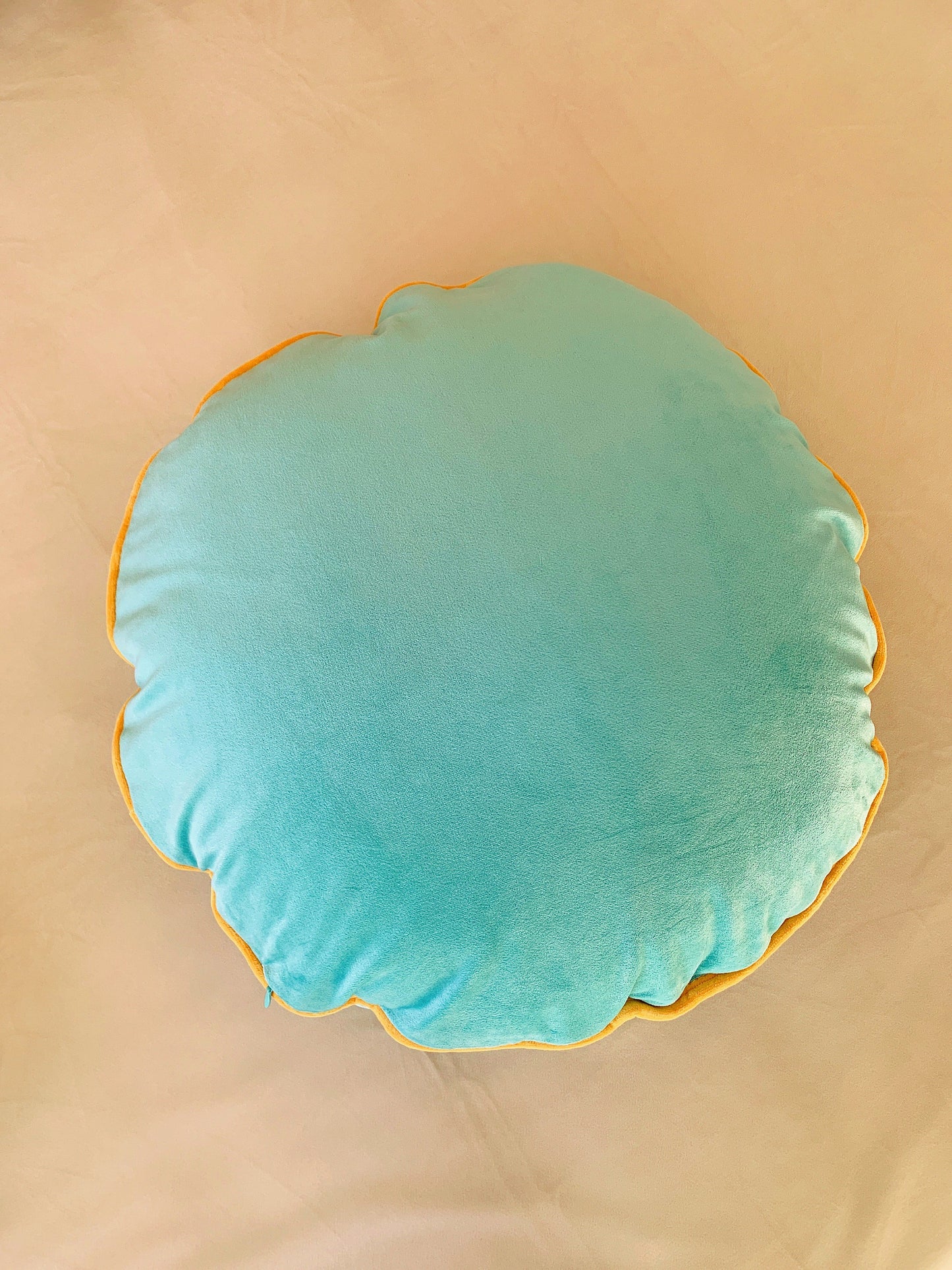 Mint Blue Luxury Velvet Cushion Cover, Vintage Style Living Room Decor