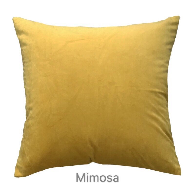 Luxury Custom Made Accent Cushion Cover, Velvet Throw Pillow, Vintage Style Living Room Decor