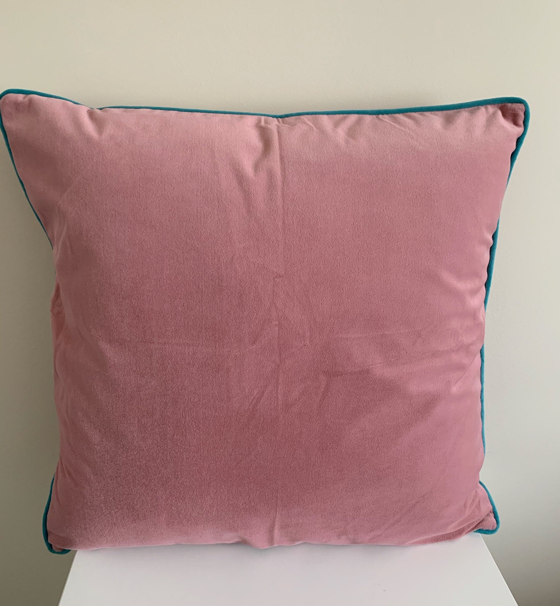 Blush Pink with Blue Piping Velvet Square Pillow Cover – Pattern Homes